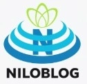 فناوری اطلاعات برتر